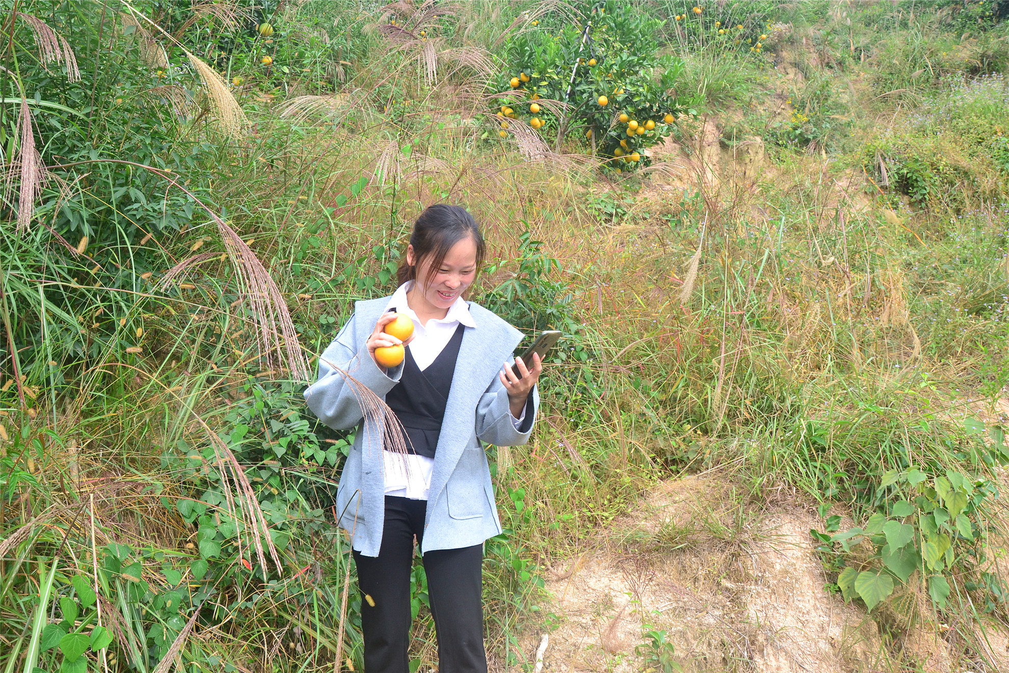 农村人创业的真实经历图片,80后农民创业记录