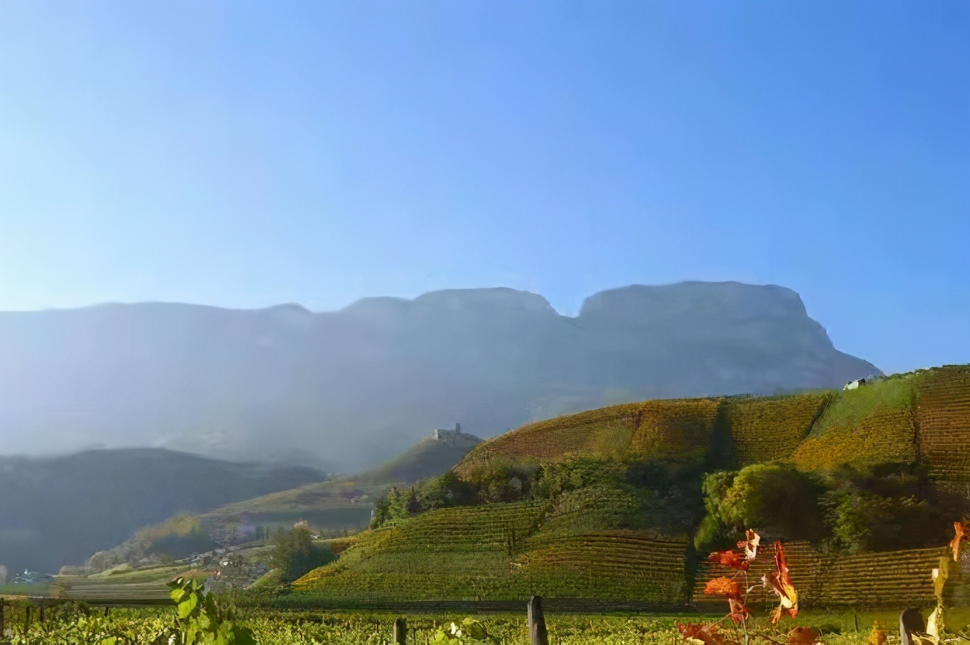 以色列最著名的葡萄酒产区,世界上最古老的葡萄酒产区国家