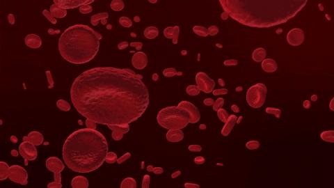 30年前人身上长虱子,为什么以前人长虱子现在没有虱子