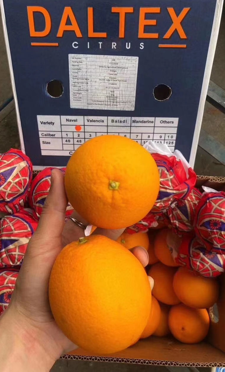 全球十大名橙排名,国内外名橙