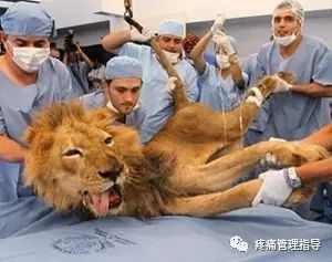 肩周炎的原因与锻炼方法