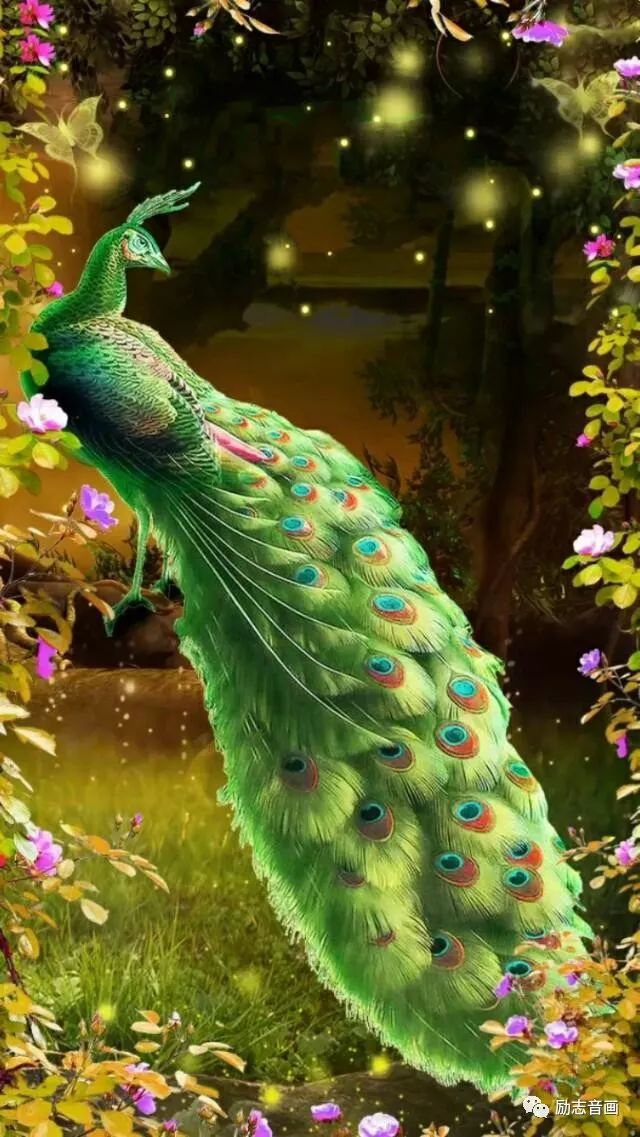 2020年绝美挂历送给你,天下第一福挂历2019年