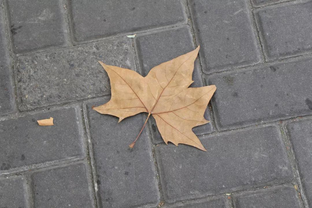 长乐路富民路,黄浦区长乐路和静安区长乐路