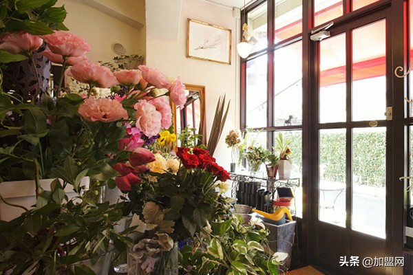 加盟鲜花店利润怎么样,鲜花店投资成本和利润
