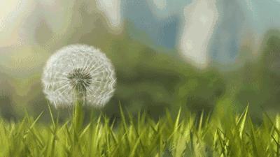 独家｜为了给女儿更好的教育，她把自己“逼”成了创业者