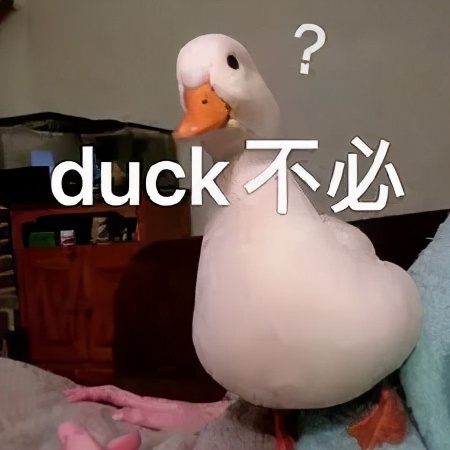 郑爽庭审翻译被质疑的Chinglish，让多少留学生中了枪