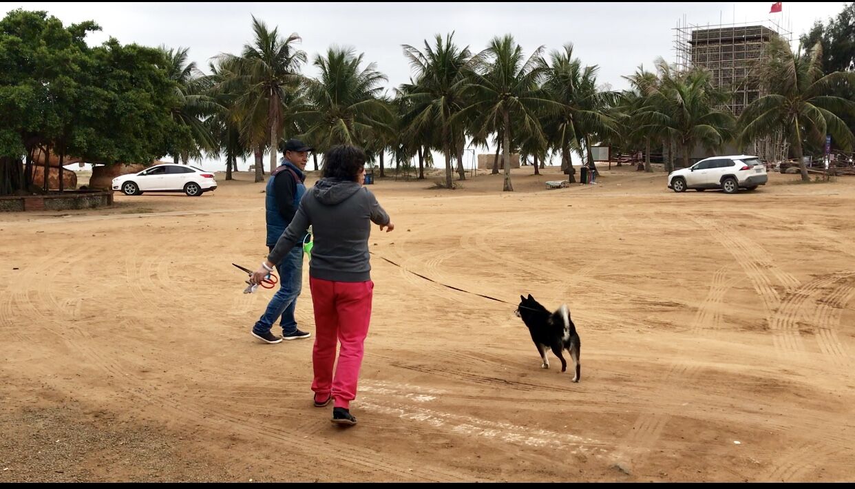 再说房车人是咋算账的；1212房车旅行车的事很担心；赶海