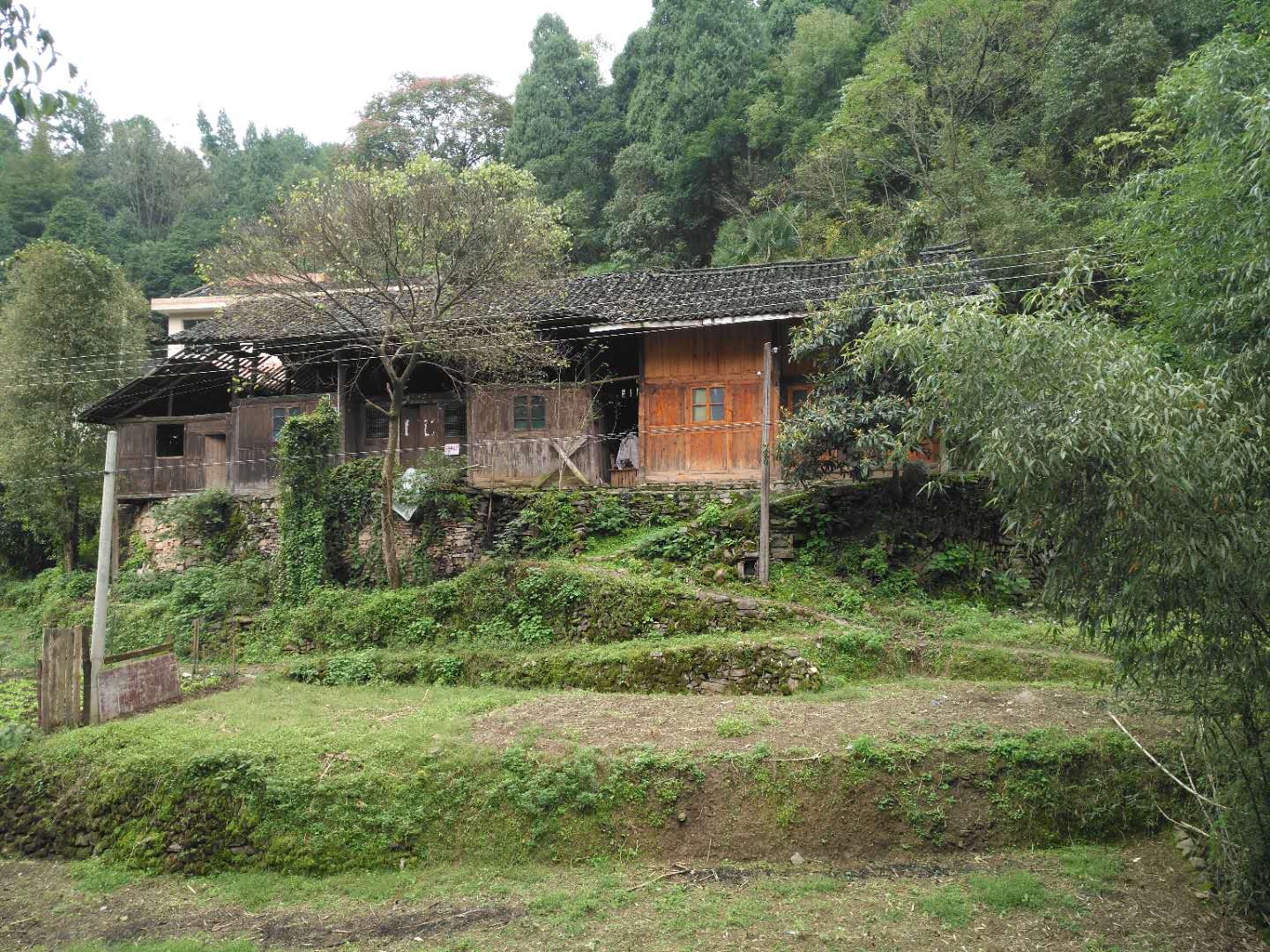 姚大榜土匪寨视频,姚大榜狡猾凶残狠毒