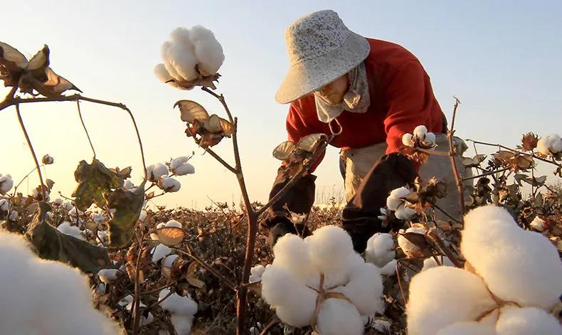 认真做国货的品牌袜子,56种专利的袜子