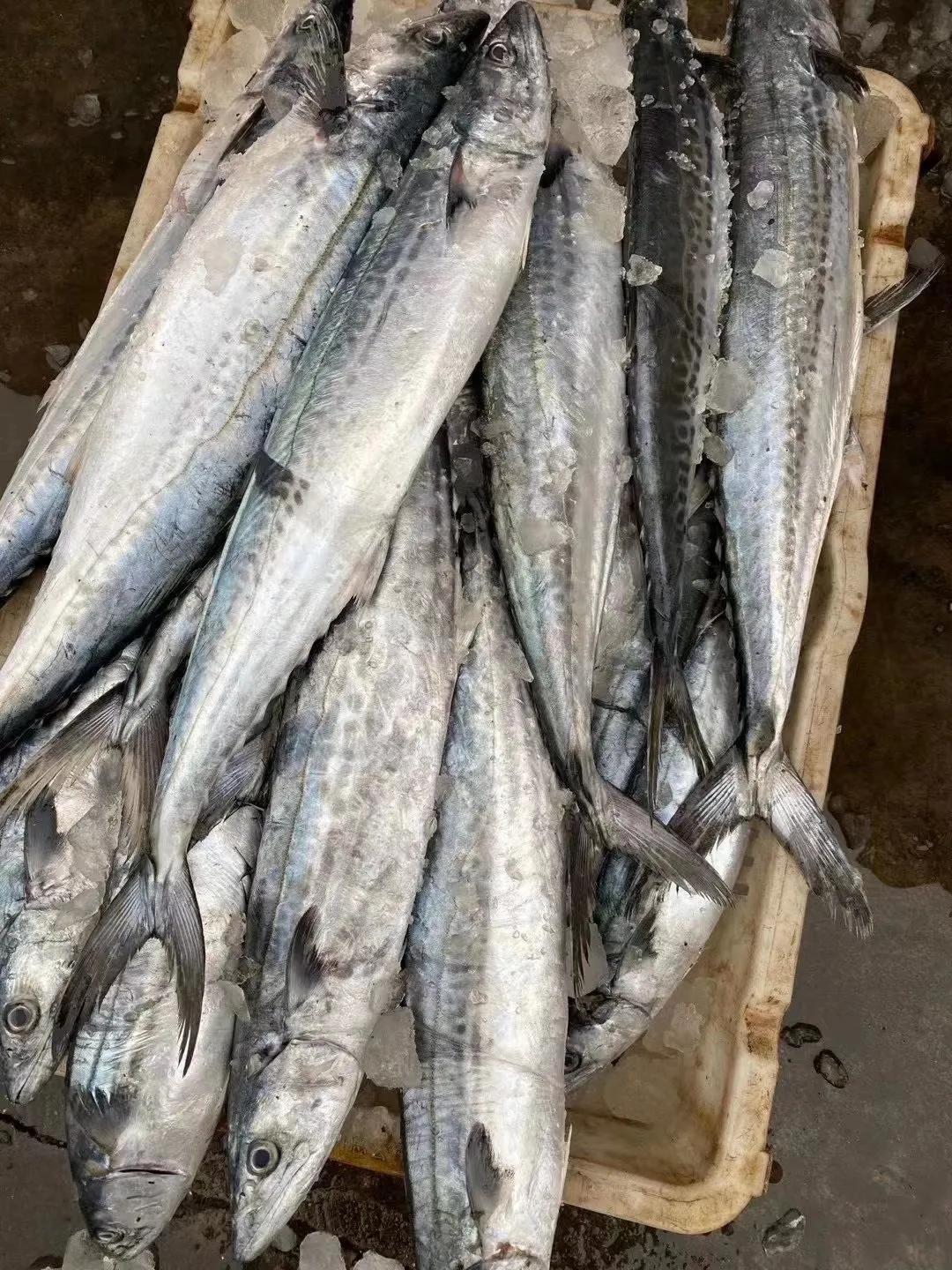 五湖四海的山东人，即便不回家，这些“山东年货”也要安排上！