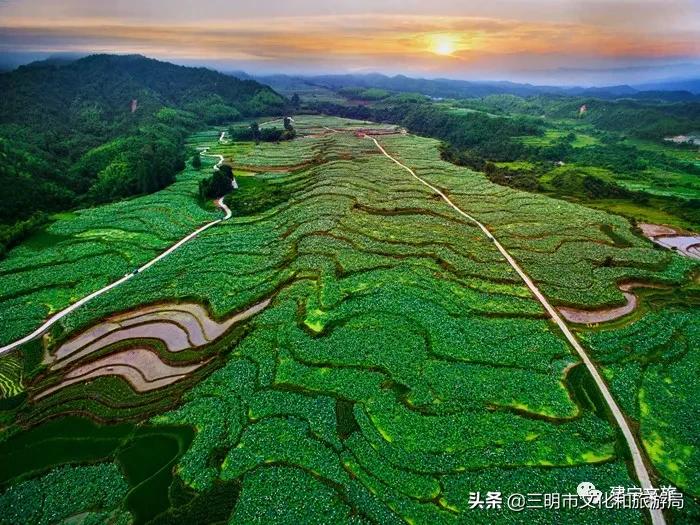 嗨！重新认识一下，我叫建宁！进来为我投票吧！