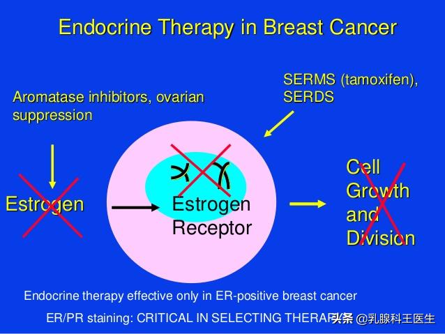 诊治子宫内膜增厚,吃内分泌的药子宫内膜增厚怎么办