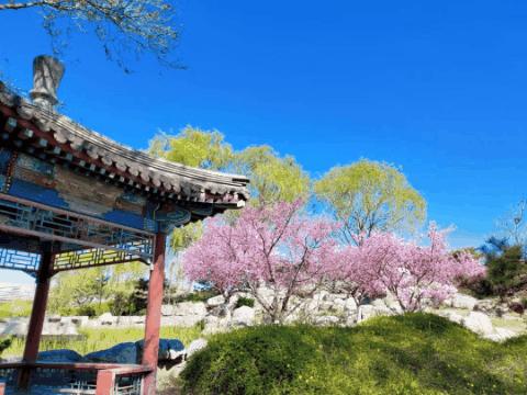 北京4月踏青的地方丰台区有哪些,丰台踏青好去处