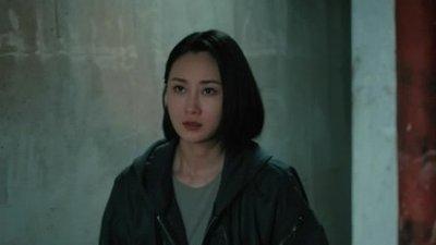 玫瑰行者林蔷张冼赫结局,玫瑰行者林蔷怀孕大肚子