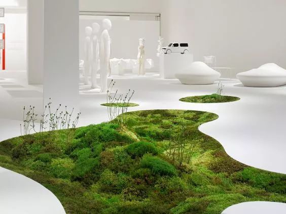 室内做的景观,室内景观打造过程