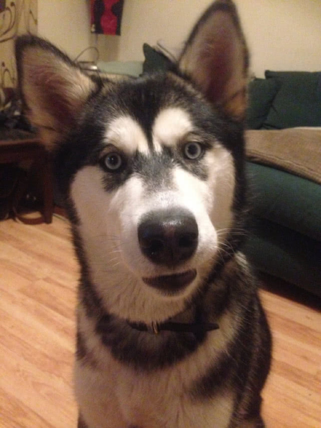 英国男子花光积蓄买地挖宝,英国男子花800万买下废弃城堡翻新