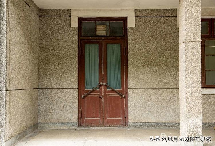 济南秋天的法国梧桐,济南一颗梧桐树