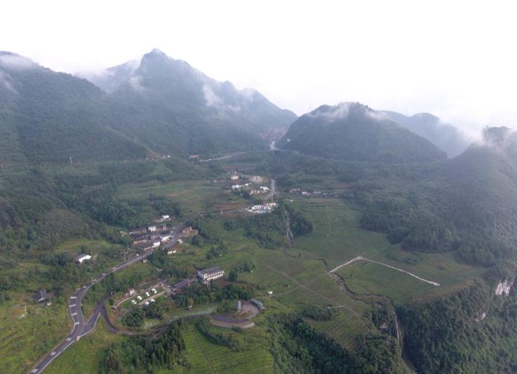 閲嶅簡涔℃潙缁垮寲缇庡寲寤鸿,缇庝附涔℃剚鍐滄潙缁垮寲缇庡寲