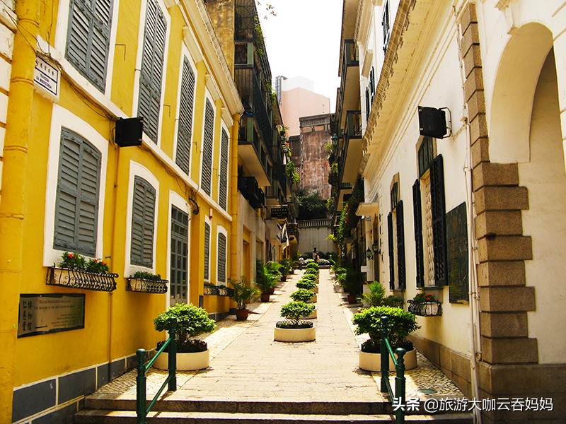 澳门恢复72小时核酸检测,澳门健康码申报入境