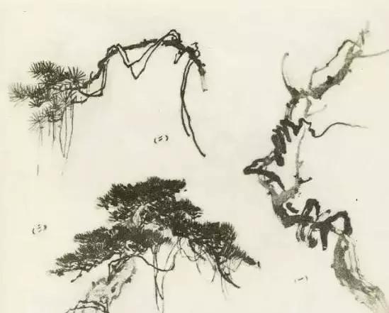 怎么画树最简单而且还最好看,怎么画树才更真实