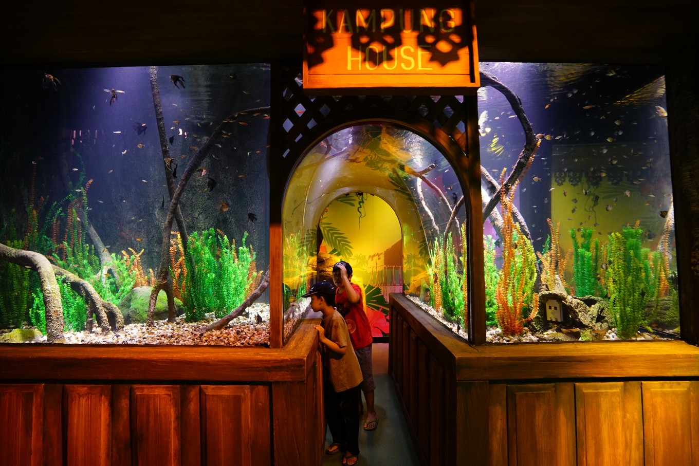 马来西亚西马旅游最佳线路图,马来西亚旅游怎么玩