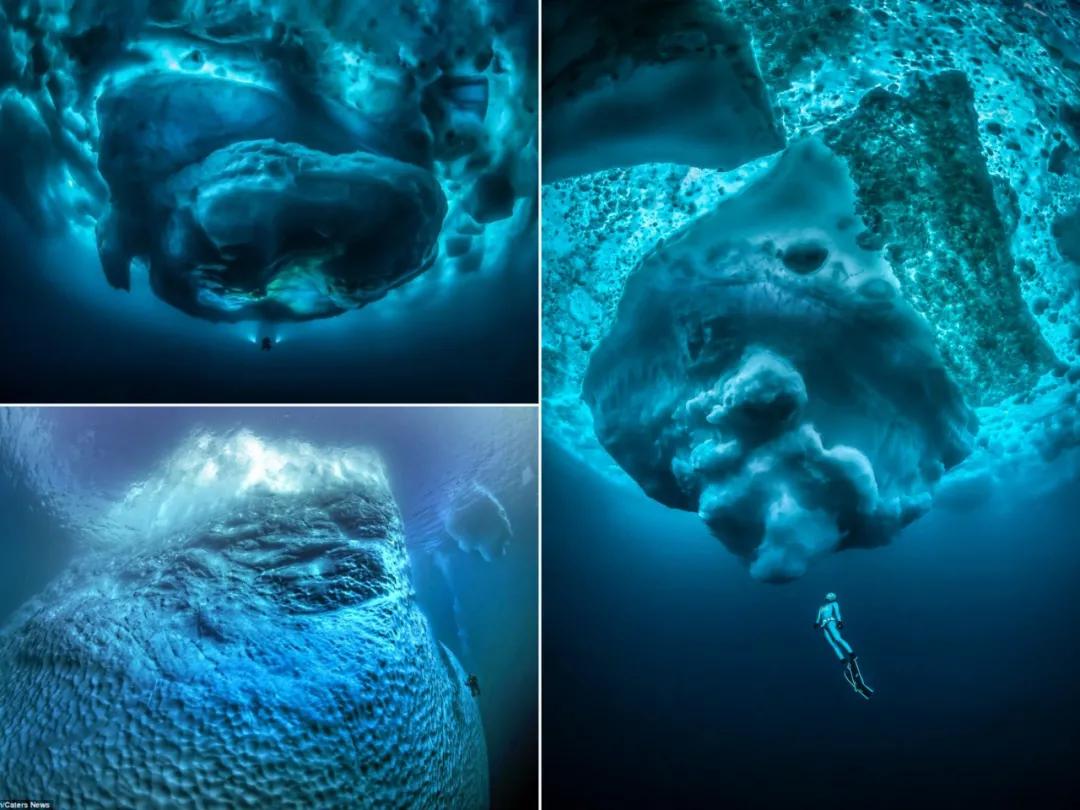 30张活久见的巨物照片,23张令人窒息的照片太像了