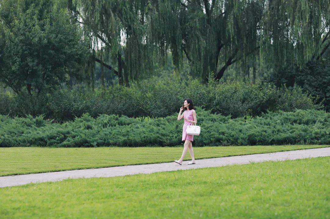 张萌学习的是精力管理,张萌精力管理50讲清晰完整