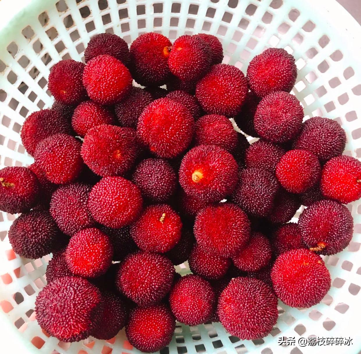 如何做杨梅酒好喝窍门图解,杨梅酒怎么做才好喝又简单