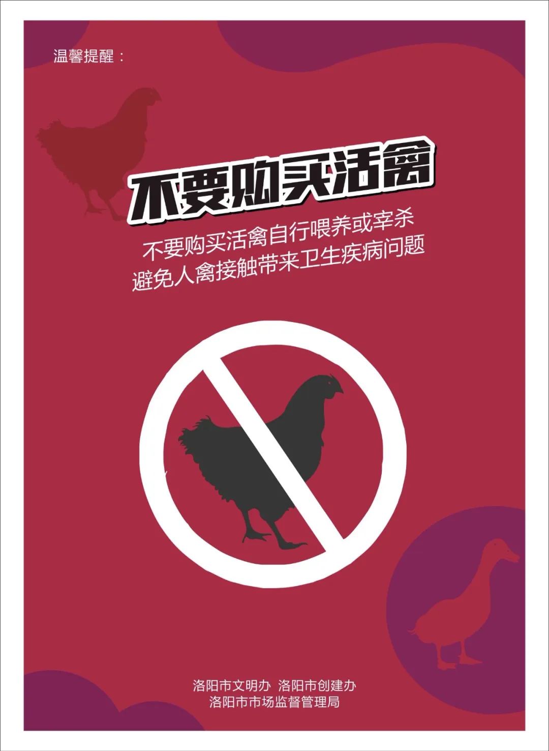 洛阳文明餐桌行动的内容,文明餐桌行动持续发力