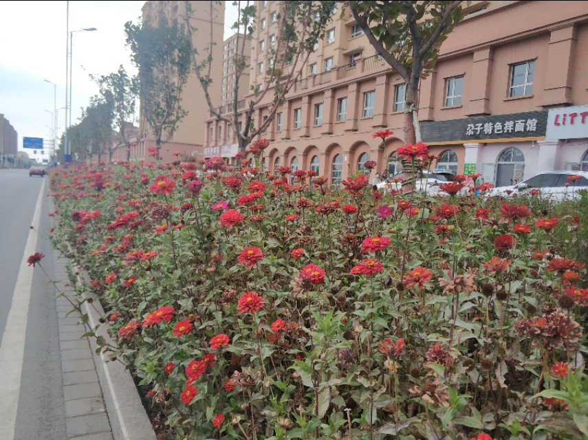 乌鲁木齐八大片区规划图,乌鲁木齐新增的几个区