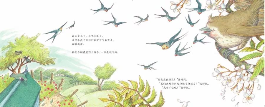 桃花开儿童画,桃花开燕归来的儿童画教案