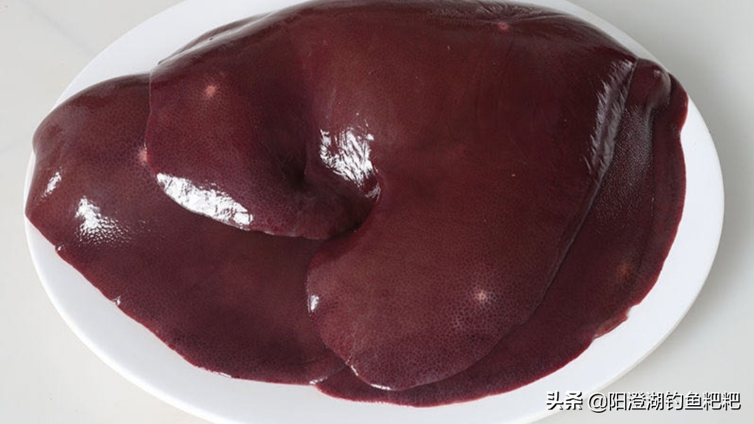 猪肝拌什么饵料好钓鱼,猪肝钓鱼打窝的正确做法