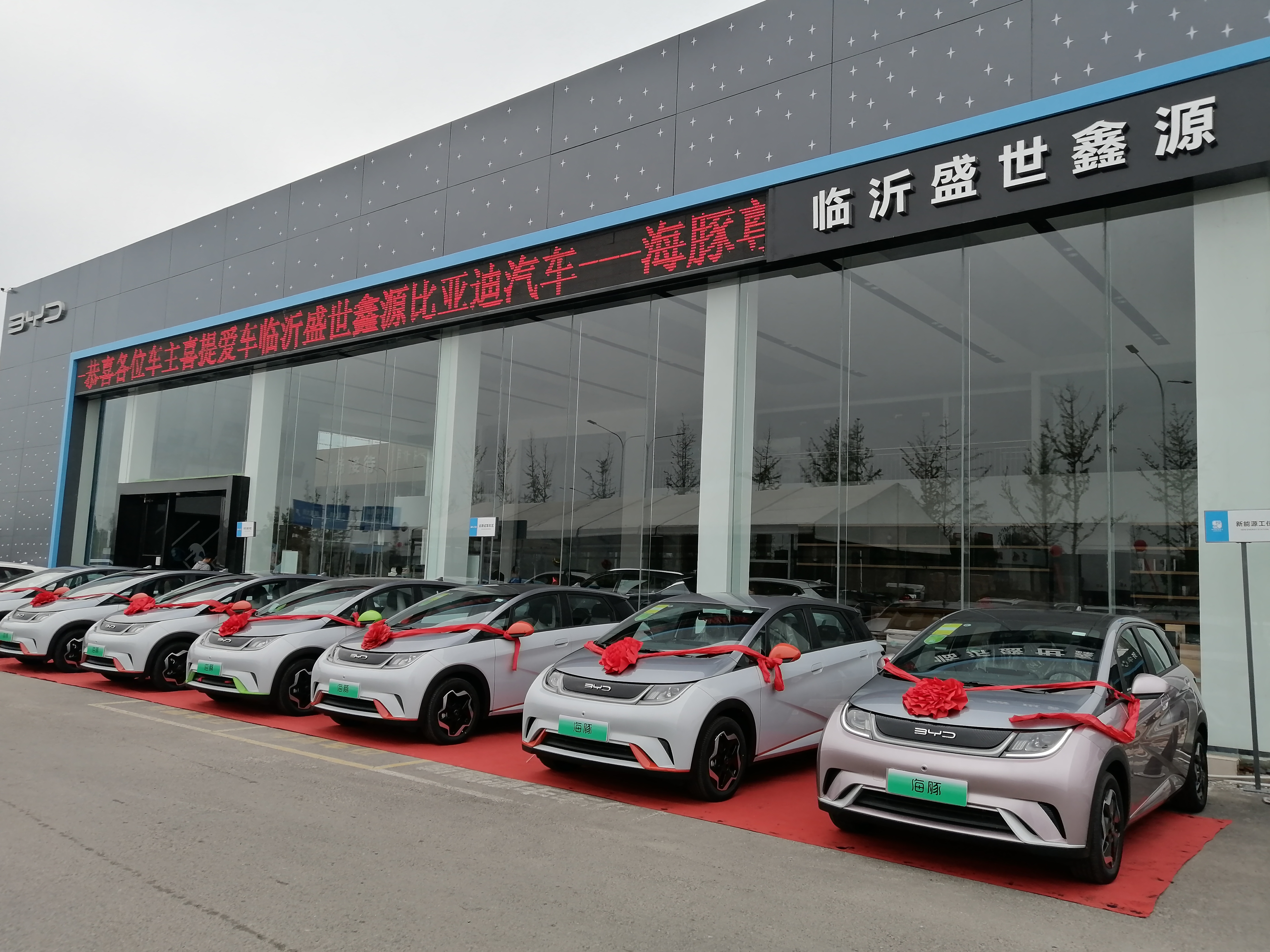 比亚迪海豚临沂盛世鑫源,临沂盛世鑫源年会盛典