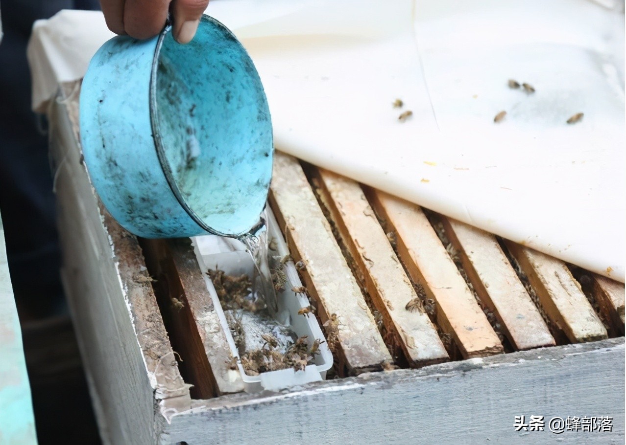 3元一斤的蜂蜜,一斤蜂蜜50元