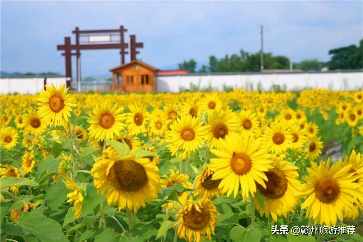 领略赣州市迷人的风景,赣州附近的世外桃源