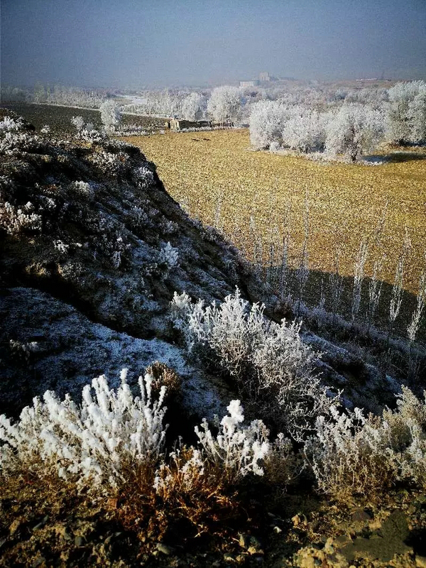 巴音布鲁克镇冬天的生活,巴音郭楞自治州和静县冬天