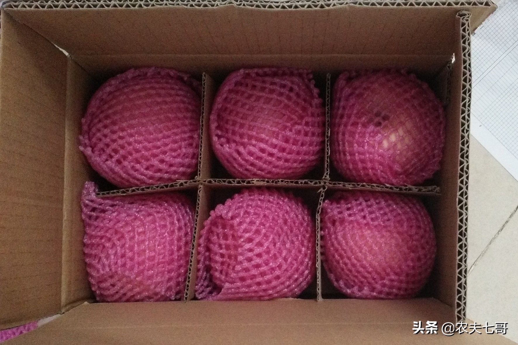 苹果怎么快速打包到果袋,苹果果农套袋子最快方法