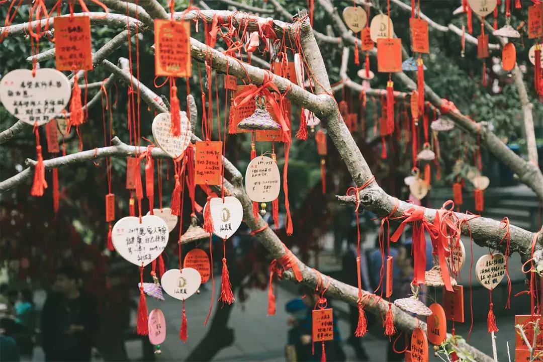 深圳这座城市很美,深圳这座城市风景太美了