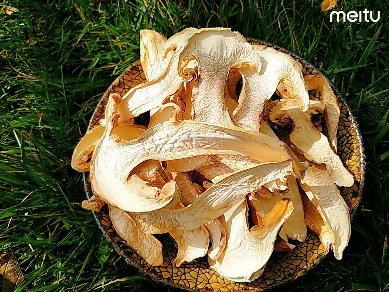 香格里拉松茸品质好吗,黑龙江的松茸品质怎么样