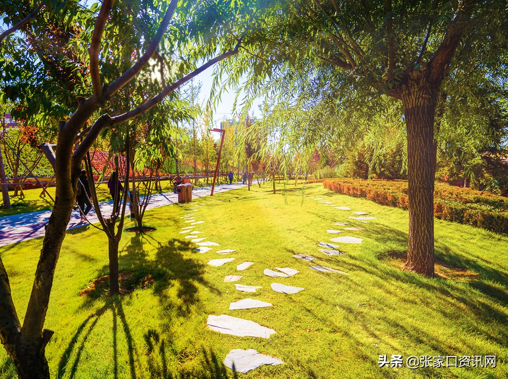 张家口新开的主题公园,张家口大好河山景观区夜景