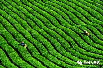 书写不负韶华的时代答卷,书写时代答卷不负最美韶华