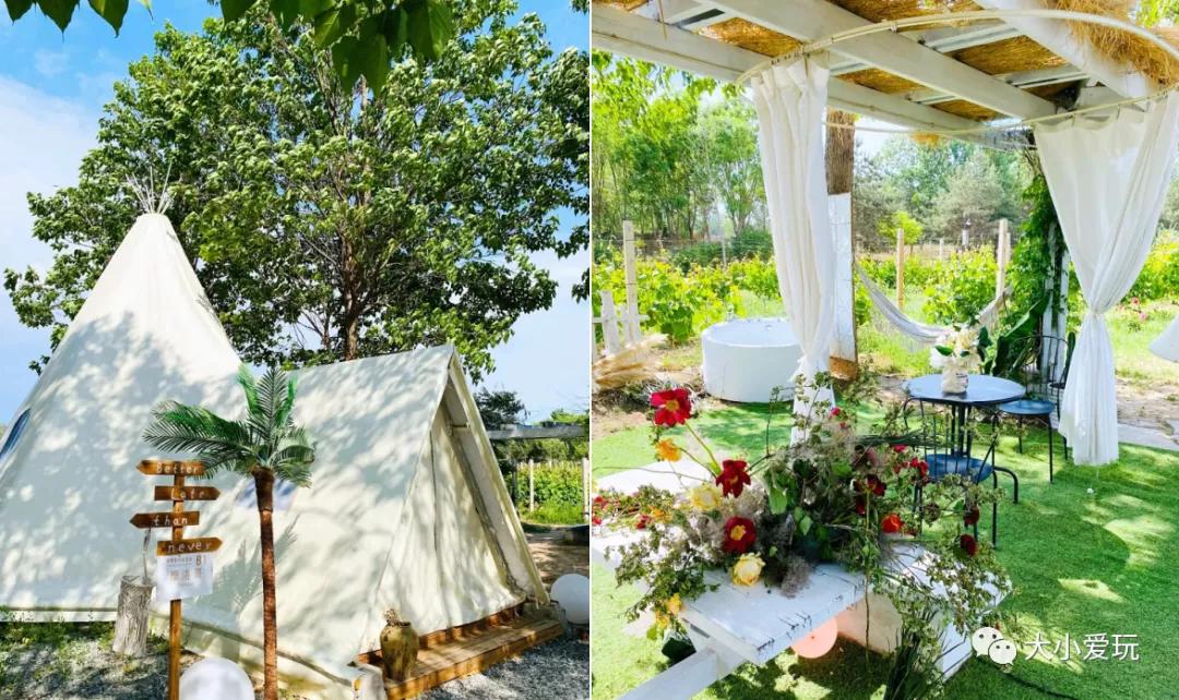 鏄ヨ妭鐣欎含娓哥帺鎸囧崡,鐣欎含杩囧勾娓哥帺鎸囧崡