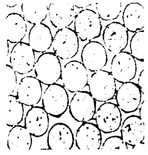 纯聚酯纤维的外观特点,聚酯纤维是一种化纤