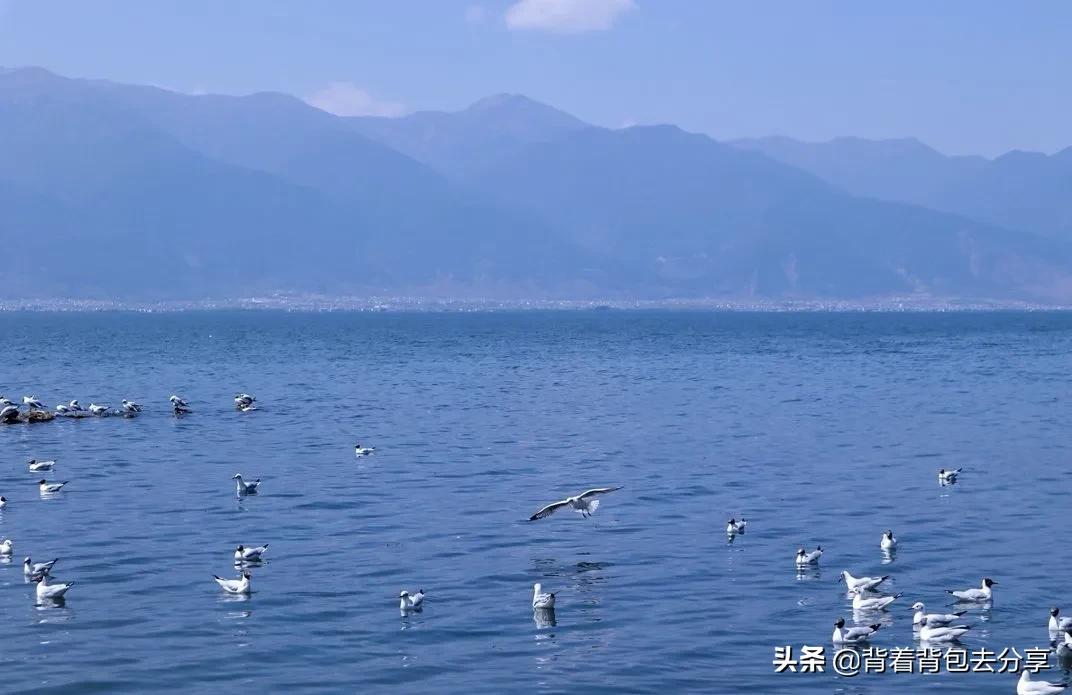 云南旅游必去12个景点有哪些,云南最好100个旅游景点