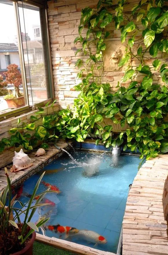 绿萝最爱的4种东西,四种让绿萝疯长的东西