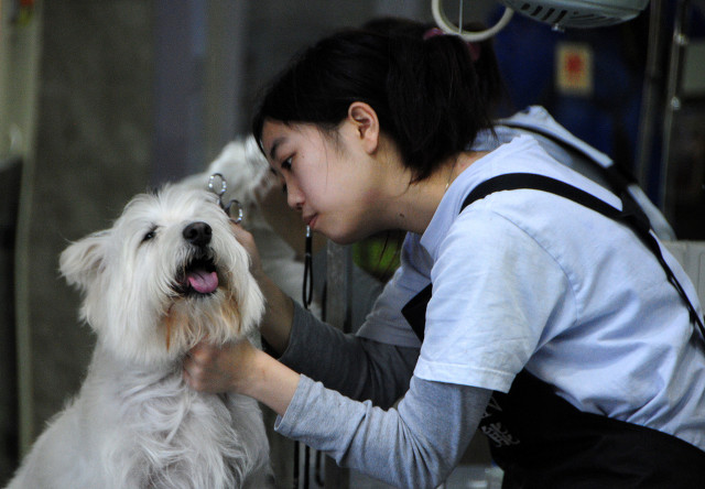 适合穷人创业的10个方法赚钱,最适合穷人的创业项目有哪些呢