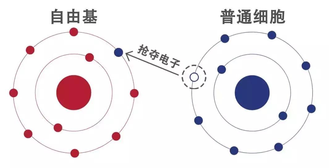 小红书安利翻车文章,小红书翻车全集