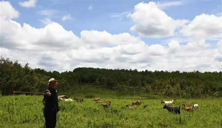 昆明去东川红土地最快的自驾线路,昆明一日游必去十大景点推荐自驾