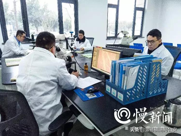 法医悬疑系列电影,10部好看的法医悬疑电影