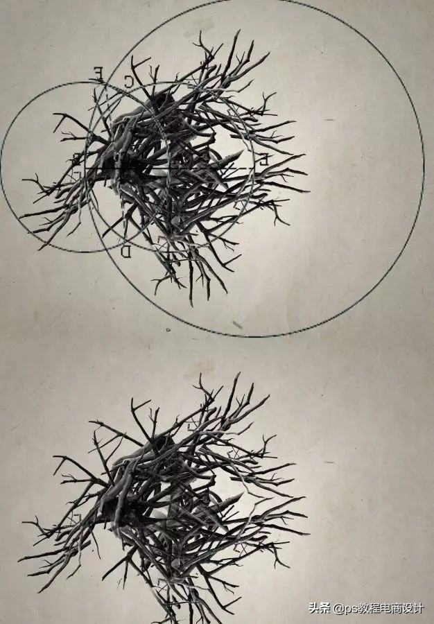 ps怎么把玫瑰变成金黄色,ps蝴蝶和鲜花合成